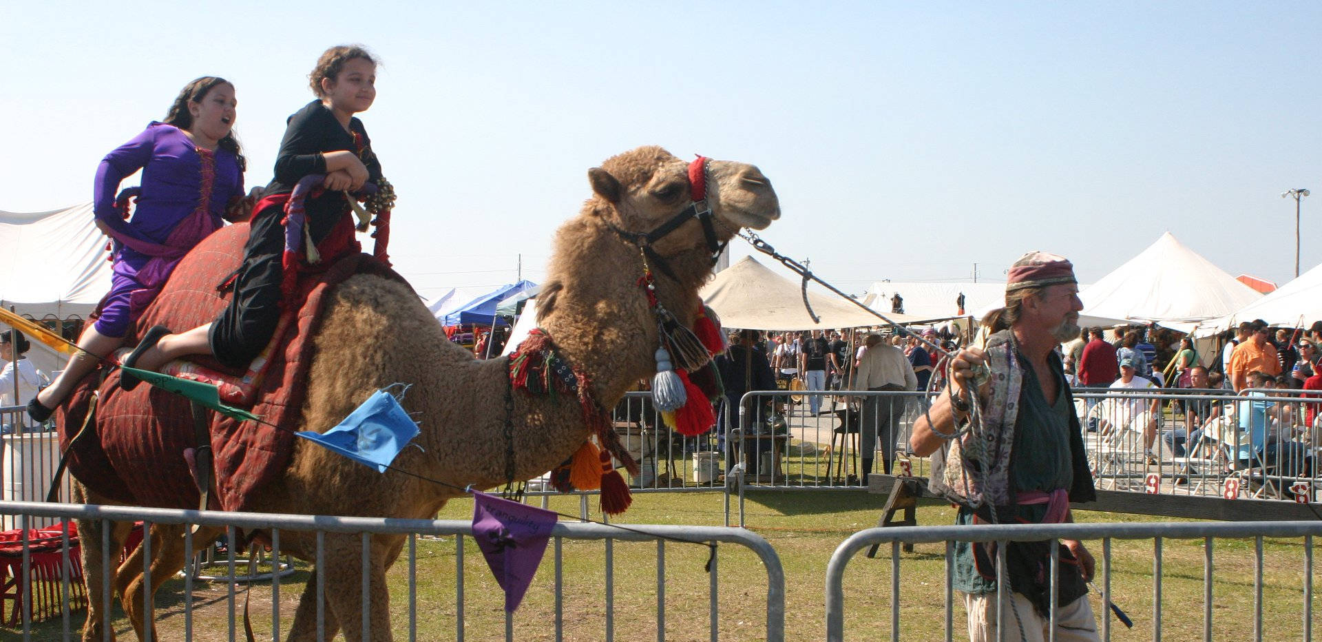 camel rides image